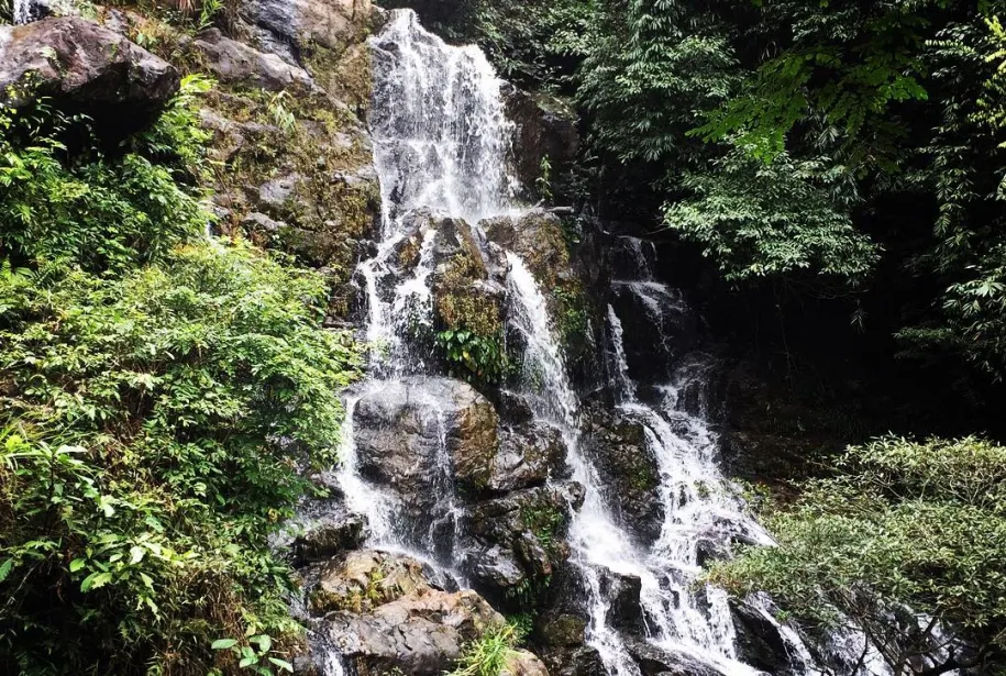 Jardin Botanico