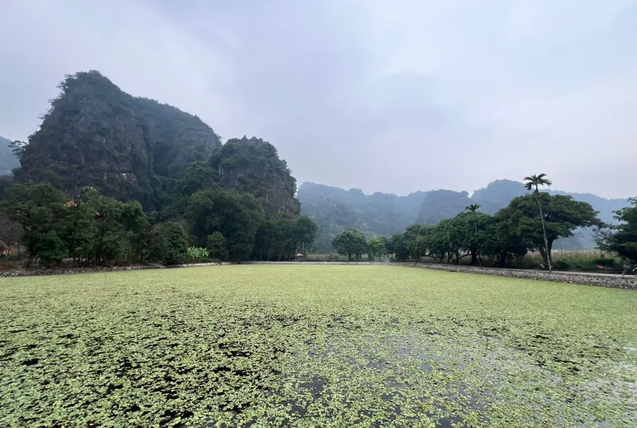 Visite de Ninh Binh au départ de Hanoï avec Amigos Tours