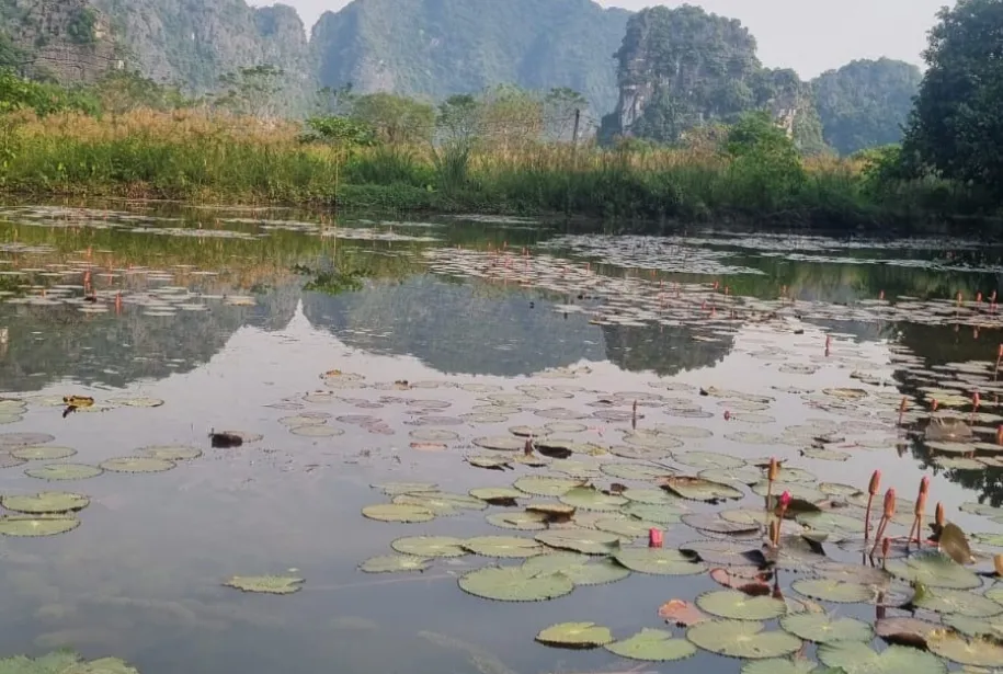 Ninh Binh Tour from Hanoi with Amigos Tours