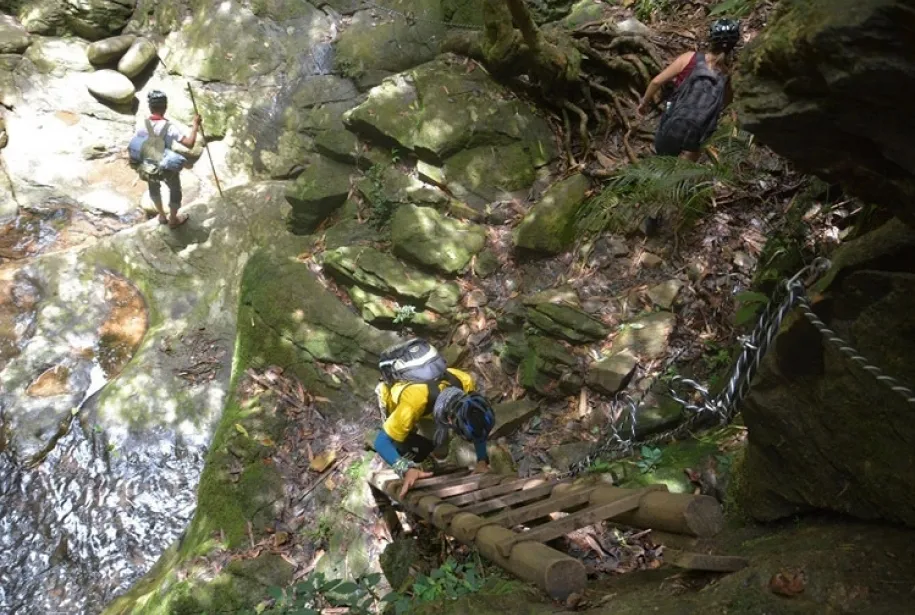 Bach Ma National Park Tour Fullday
