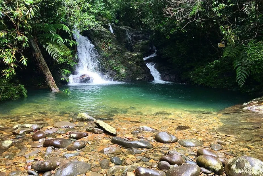 TOUR DE SENDERISMO EN EL PARQUE NACIONAL BACH MA FULLDAY